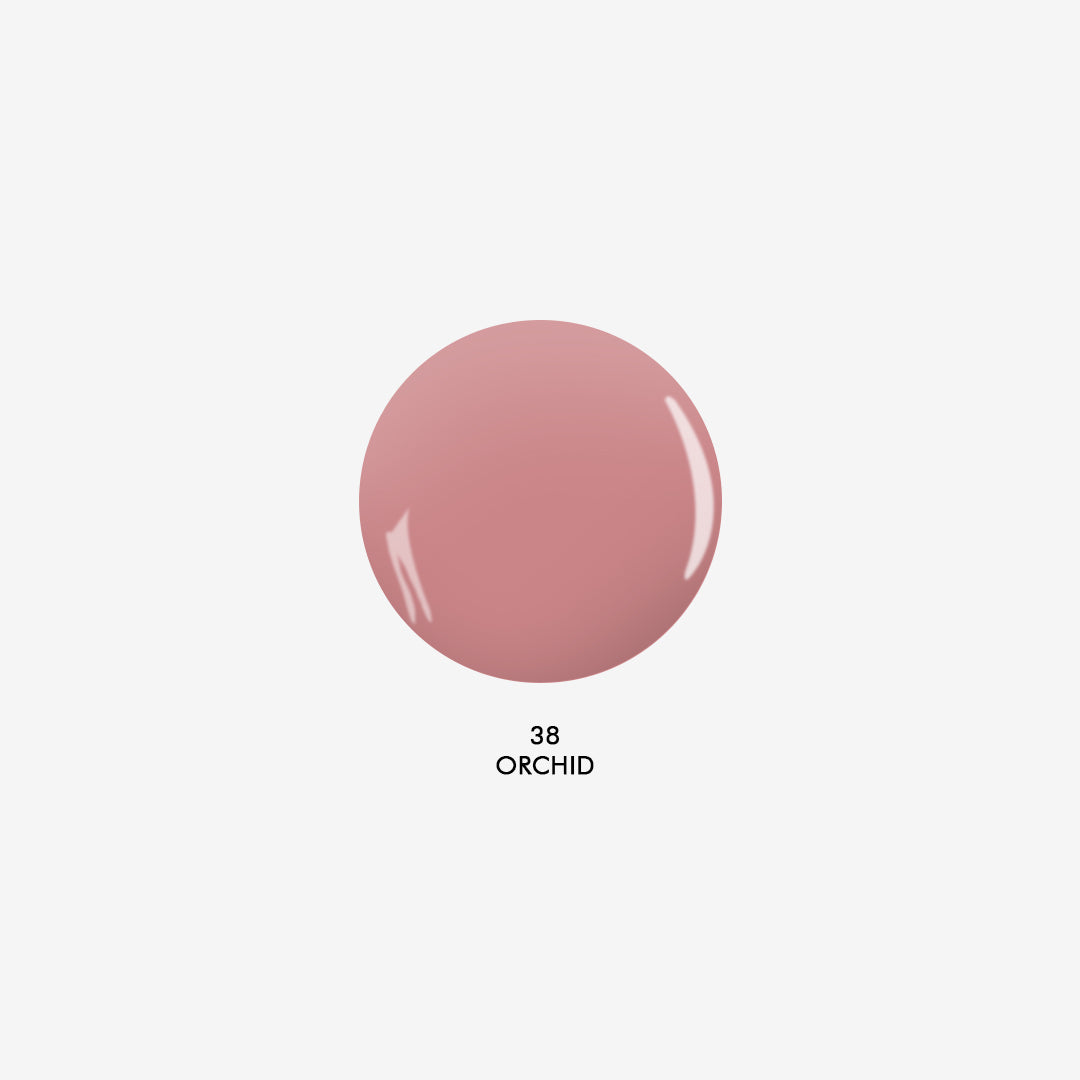 Orchid 38 - Amore Mio