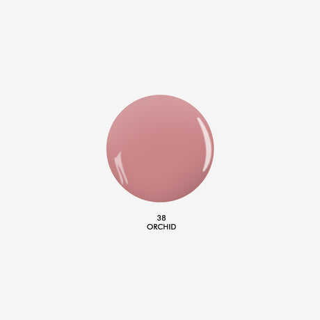Orchid 38 - Amore Mio